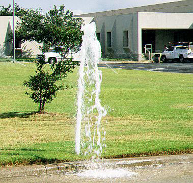 Leaking Sprinkler Head
